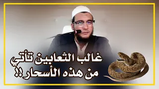 الثعابين غالبا تأتي من هذه الأسحار الراقي المغربي نعيم ربيع  الثعابين غالبا تأتي من هذه الأسحار الراقي المغربي نعيم ربيع
