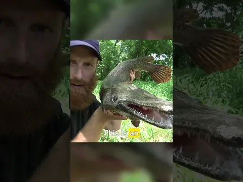 Tackling a prehistoric beast and eating it!