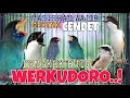 Download Lagu MASTERAN CENDET RAHASIA CETAK CENDET TENGKEK BUTO WERKUDORO PANJANG FULL TEMBAKAN DAHSYAT MEWAH