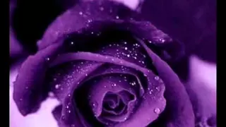 أنت السبب فى إلى انكتب مانتا السبب فى الى انكتب يابا يابا انا ليه هكون طيب كدا 