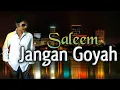 Download Lagu SALEEM - Jangan Goyah | Video Lirik