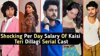 Shocking Per Day Salary Of Kaisi Teri Dillagi Serial Cast | Akash | Kajal | TM