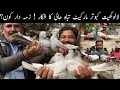 Lagu Kabootar Market Lalukhet Sunday Video Latest Update 18-1-2026 in Urdu/Hindi