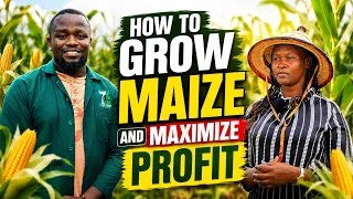 How This Farm Turned Maize Farming into a Profitable Business