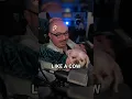 Download Lagu Een cameo van mijn hond
