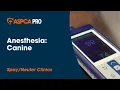 Anesthesia Canine