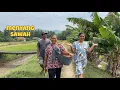 Download Lagu CARI KANGUNG LIAR DI SAWAH || BIKIN RAWON KANGKUNG EMPAL DAGING 