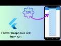 Flutter Dropdown List from API How to Load Data from API to Dropdown Button