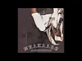 100 Rivers - Whakaaro (thoughts) - (Official Audio)