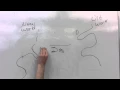 Columbian Exchange