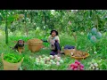 Harvest Mangoes, Longans, Winged Beans, Red Radishes,Grapes, Purple Yams To Sell At The Market, Farm