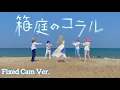Download Lagu 【Solstice Sekai Fixed Cam Ver.】 'Coral in the Box' (箱庭のコラル) Wonderlands x Showtime [プロセカ踊ってみた] MP3