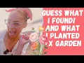 My El Paso TX Backyard Sowing Growing and Finding Garden Helpers