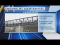 Tyler Animal Services waives May adoption fees in exchange for donations