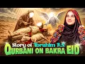 Download Lagu Why Muslims Celebrate BAKREID? Story of Prophet Ibrahim #eiduladha2025 #bakraeid2025 #allah #hajj