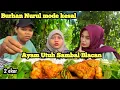 Download Lagu BURHAN NURUL MODE KESAL || MUKBANG 2 EKOR AYAM UTUH SAMBAL BLACAN+SIRIH CINA+POHPOHAN+BUNCIS