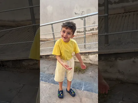 ادم بدو يطعمي شام اكل كلاب 😱 #shamramadan #shorts #sham #comedy #funny
