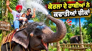 ਕੇਰਲਾ ਦੇ ਹਾਥੀਆਂ ਦਾ ਮੇਲਾ Elephant Junction Kerala | Punjabi Travel Couple | Ripan Khushi
