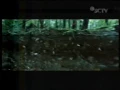 SCTV A Mild 23 21 #Hasrat