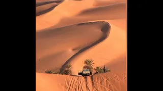 مادا أقول له لوجاء يسألني ل سدوم ولد ايده دندنها