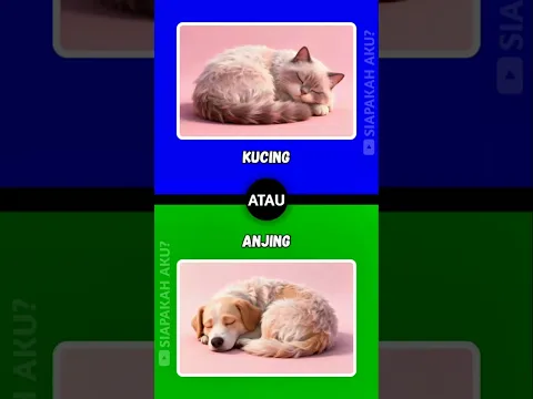 👉"Yuk tebak Quiz hewan ini? #siapakahaku #tebaktebakan #shorts