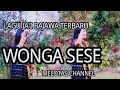 LAGU JA'I BAJAWA TERBARU WONGA SESE,MELOTAS CHANNEL