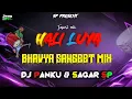 Lagu Hali Luya NEW TREND BHAVYA SANGEET MIX TAPORI DHINGANA MIX DJ PANKAJ SP SAGAR #BETUL #DJPANKAJSP 