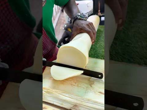 Rare Organic Coconut Palm Cutting #shorts
