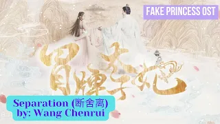 Download Separation (断舍离) by: Wang Chenrui - Fake Princess OST MP3