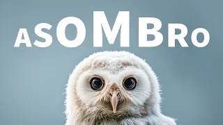 Asombro - hoy - palabras aladas