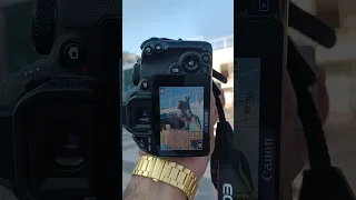 تعلم تصوير فوتوغرافي بي دقيقه وحدا بس ليث نجار 