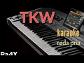 Download Lagu TKW - Karaoke ( nada pria )