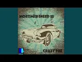 Download Lagu Crazy Fox (Originele Mix)
