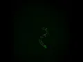 Movement of C elegans worms