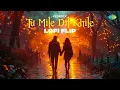 Tu Mile Dil Khile - LoFi Flip | Kedrock | Kumar Sanu | Hindi lofi Song