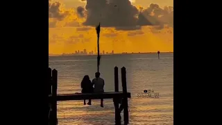 حالات واتس مبحنلهش    دندنها