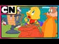 Download Lagu Tom and Jerry 😺🐭| Cheer Up, Quacker! 😍| Cartoon for Kids 😆| Cat \u0026 The Mouse | @cnindia