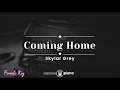 Download Lagu Coming Home - Skylar Grey (KARAOKE PIANO - FEMALE KEY)