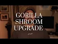 Gorilla Shroom Massive Upgrade Better Cognitive Function and Heavy Doses of Lion s Mane etc