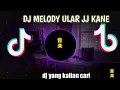 Download Lagu DJ MELODY ULAR JJ KANE REMIX TIKTOK 2022