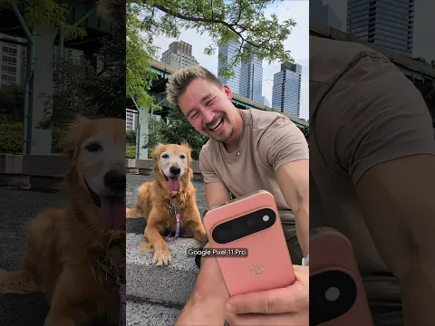Taking Nala to NYC, all thanks to @madebygoogle #pixel11 #GooglePartner