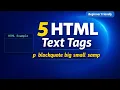 HTML Text Formatting Tags Tutorial p blockquote big small samp Explained for Beginners