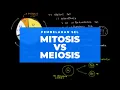 Download Lagu Pembelahan Sel, Perbedaan Mitosis dan Meiosis | BIOLOGI MOLEKULER #9