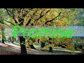 Promise (Thomas Bergersen).