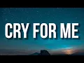 Lagu Cry For Me - Ironmouse (Lyrics) \