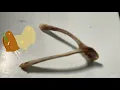 What is a wishbone