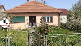 Shoku i Djalit vjen sa her jam vetem