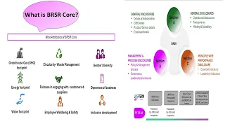 What is BRSR Core Reasonable Assurance of BRSR Core Value Chain requirements of BRSR Core