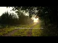 Robbie Seed - Home Is You (Official Lyric Video)