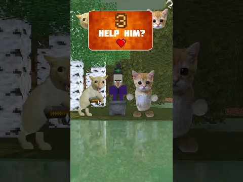 Help Cats collect frog for Witch